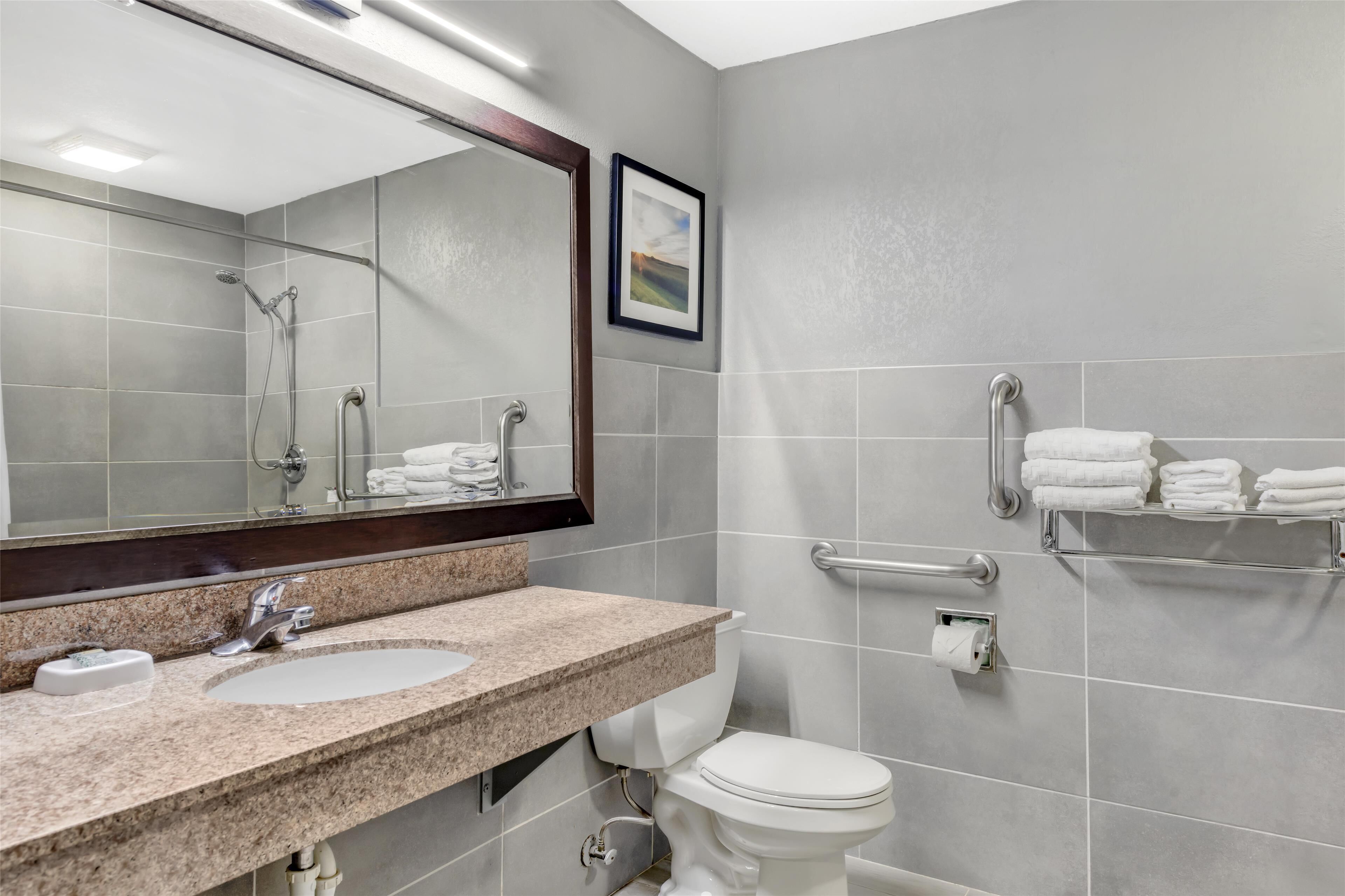 A modern bathroom with a granite countertop sink, a large mirror, a toilet, and a shower area.