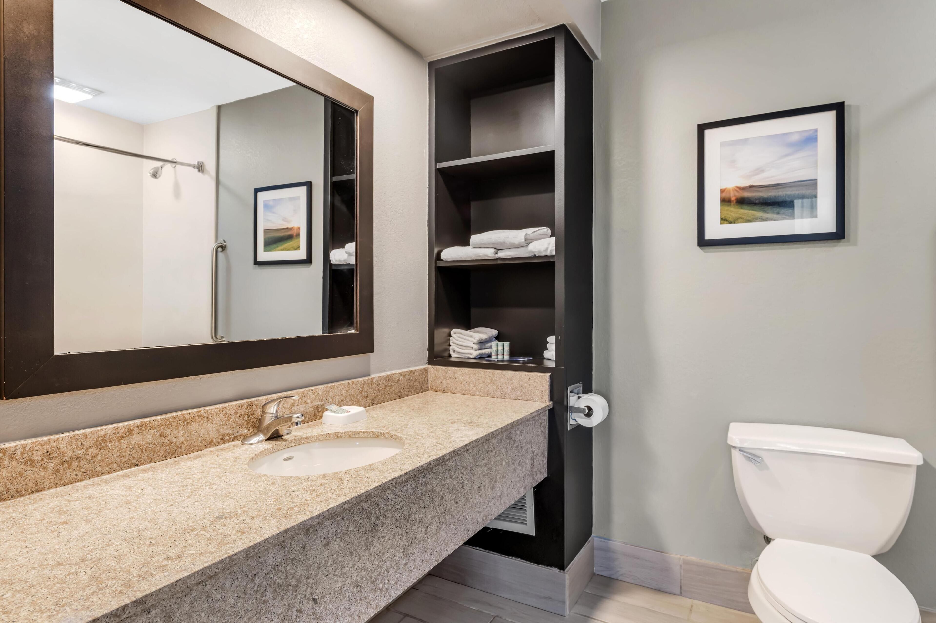 combined shower/bathtub, free toiletries, hair dryer, towels