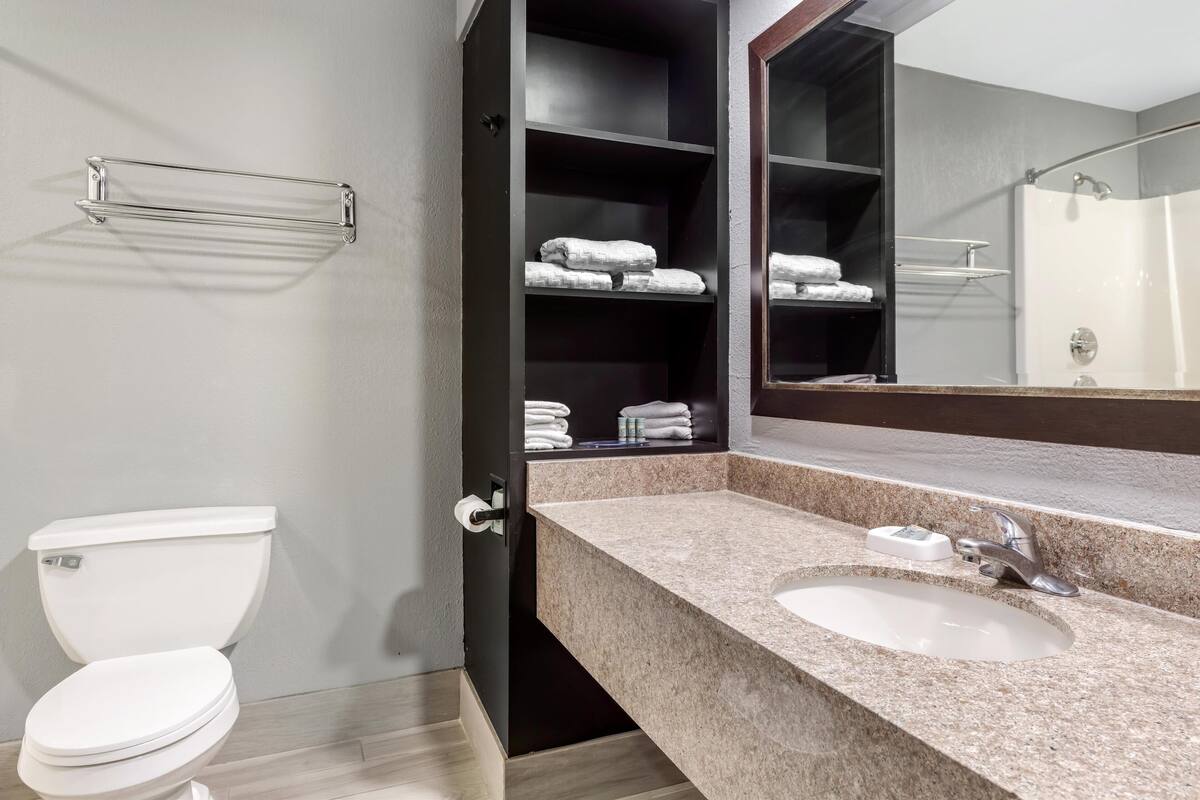 executive room, 1 king bed, non smoking, refrigerator & microwave (shower only;with single sofabed) | bathroom | combined shower/bathtub, free toiletries, hair dryer, towels