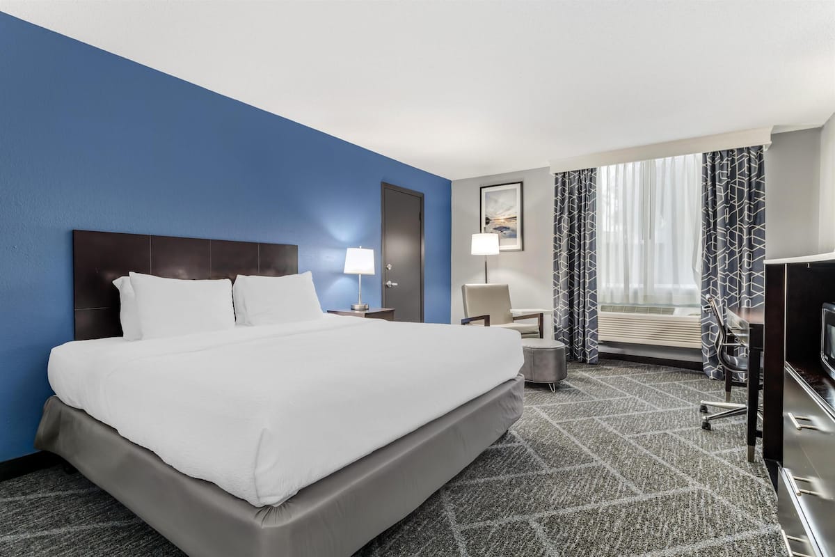 Standard Room, 1 King Bed, Accessible, Poolside (with Single Sofabed)