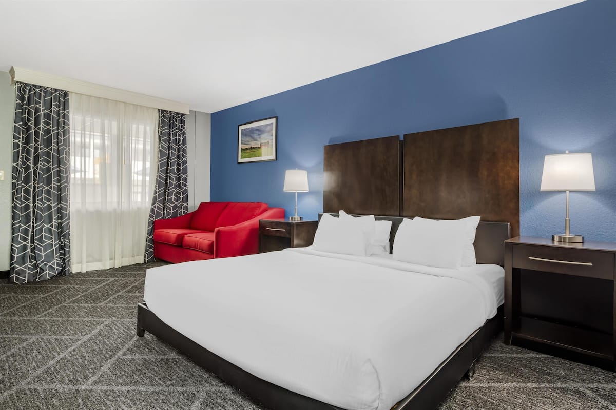 Standard Room, 1 King Bed, Accessible, Refrigerator & Microwave