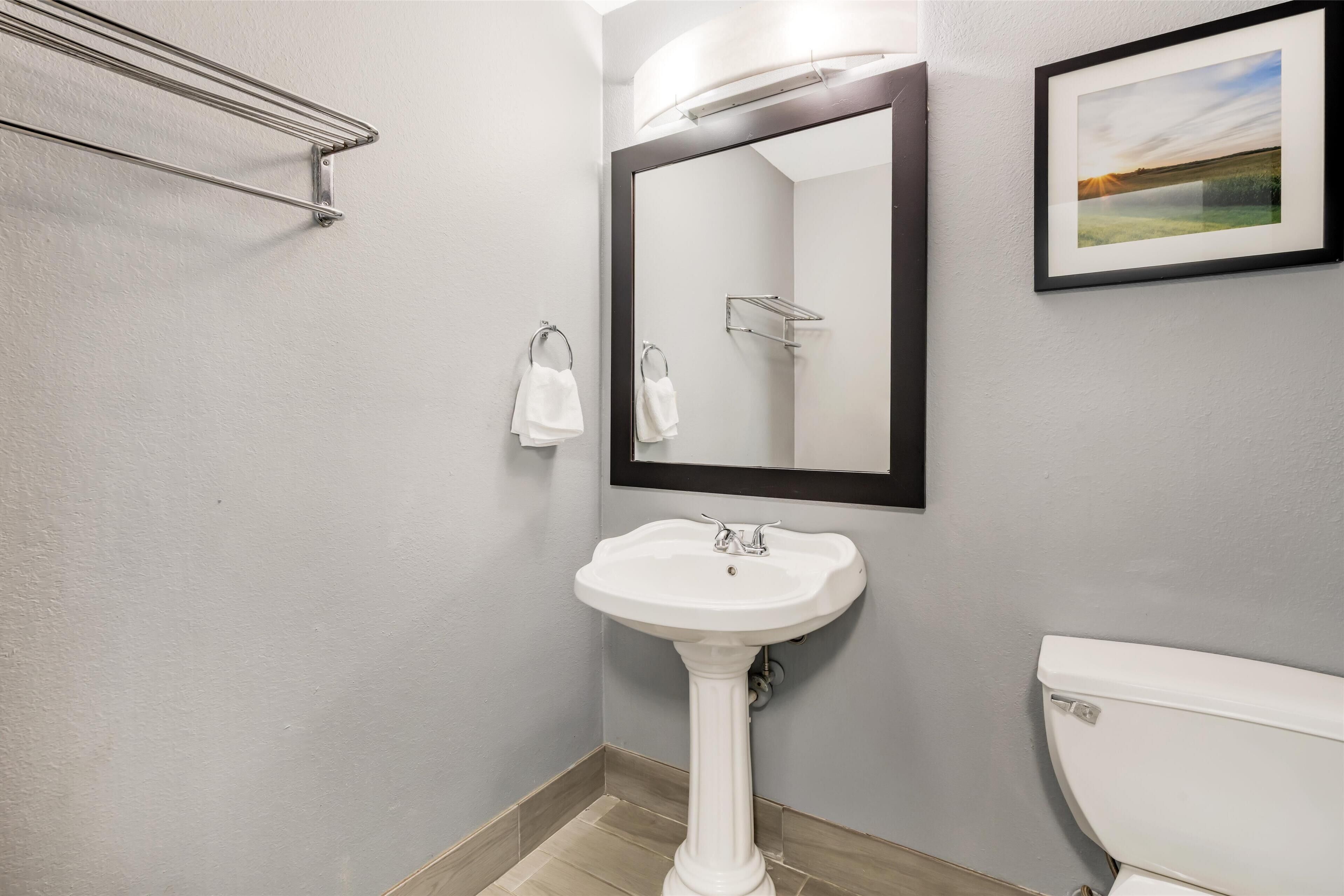 Une salle de bain avec un lavabo sur colonne, des toilettes, un porte-serviettes, un miroir et un tableau encadré au mur.