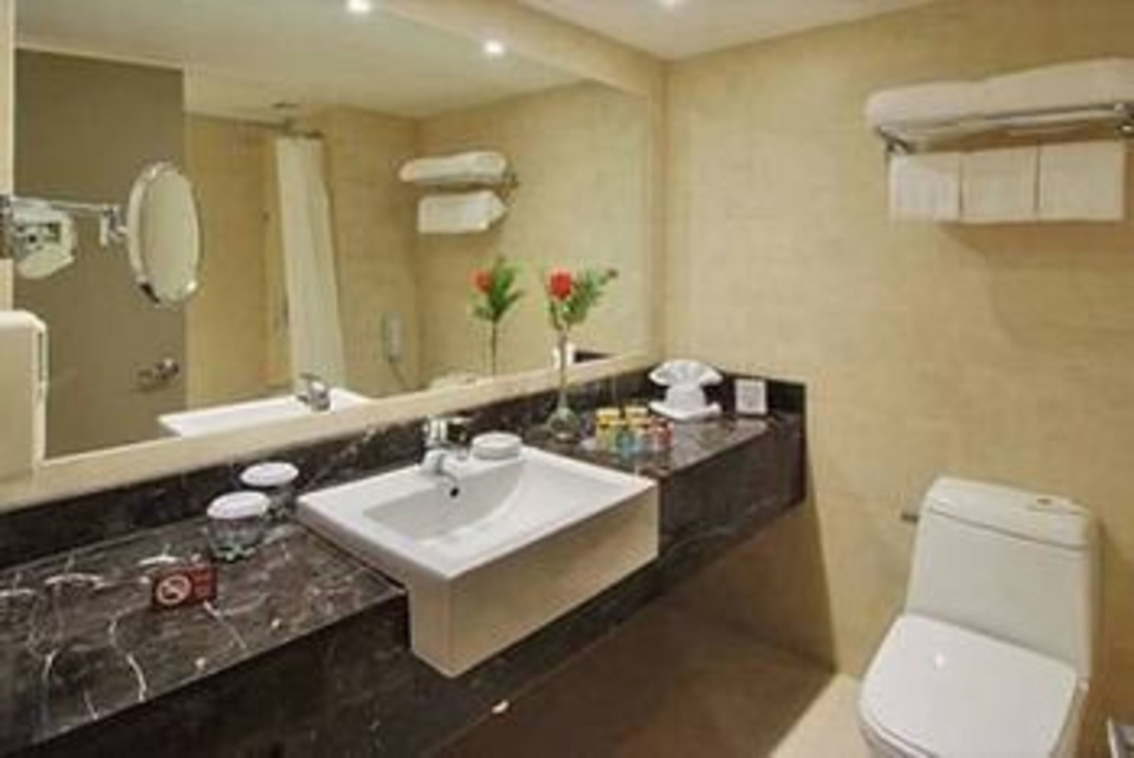 A bathroom with a large mirror, a sink, a toilet, and a towel rack.