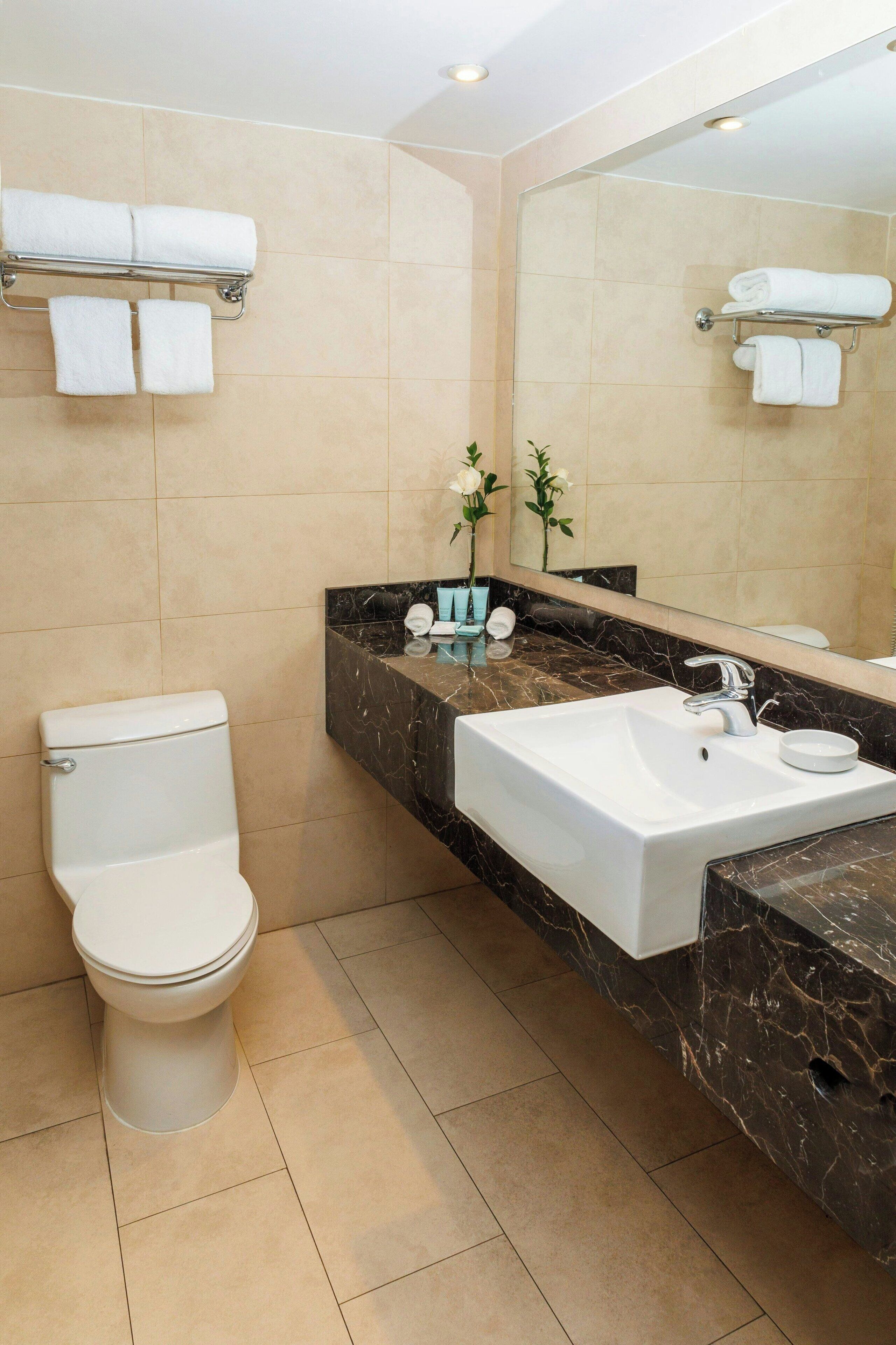 free toiletries, hair dryer, towels