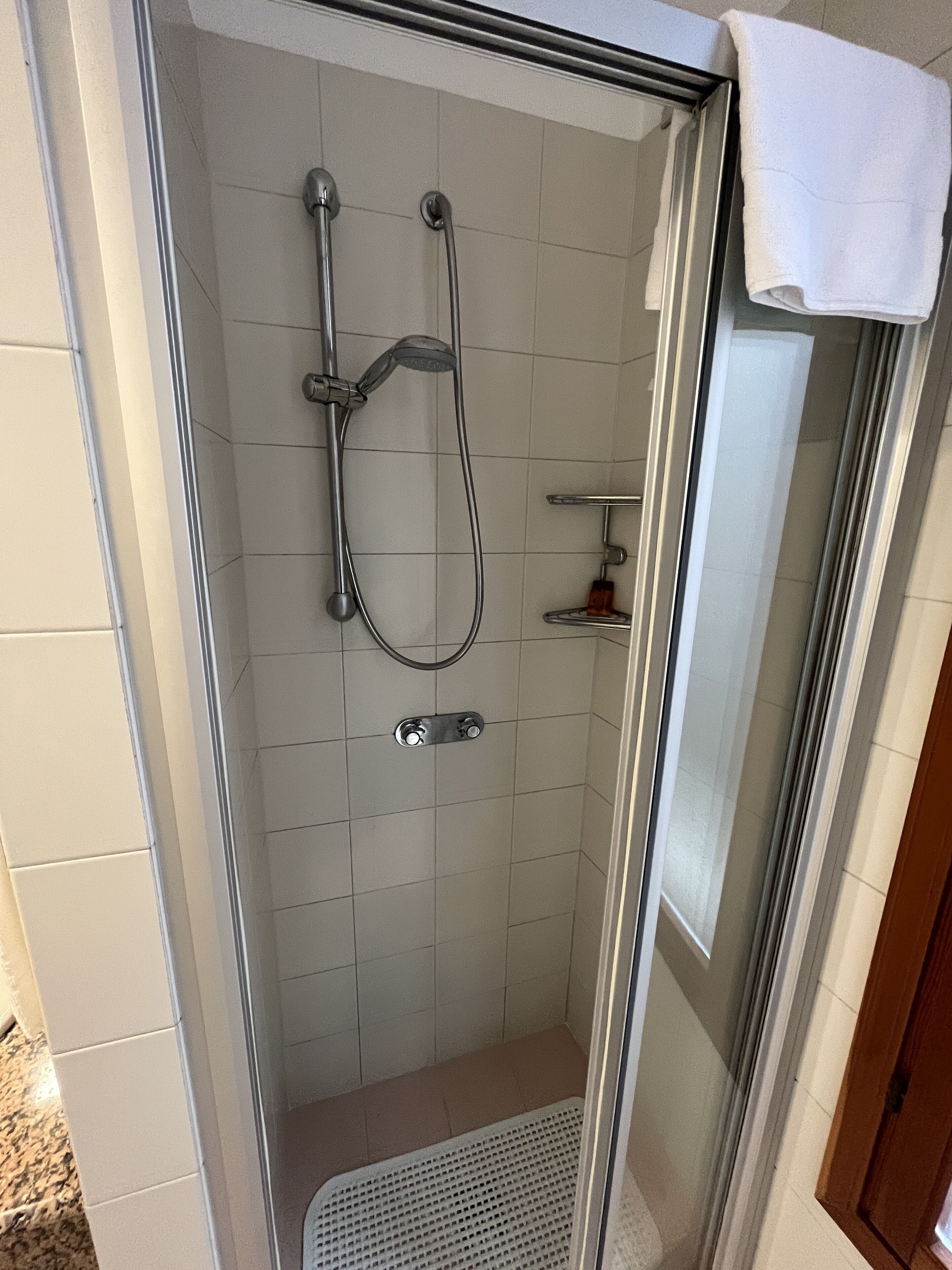 Una ducha con mampara de vidrio, un cabezal de ducha manual y otro fijo, una toalla blanca colgada en la puerta, y un estante pequeño con artículos de aseo.