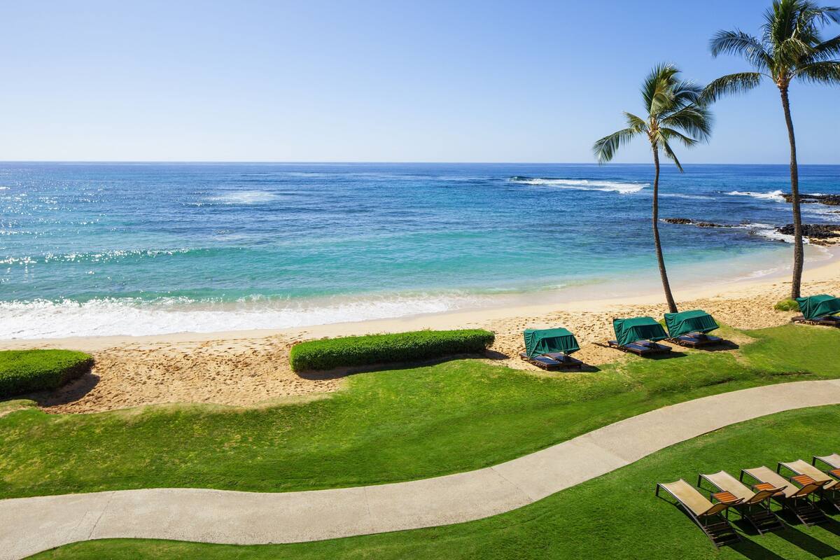 A beach view with a pathway leading to a row of beach chairs and tents, palm trees, and a clear blue ocean.