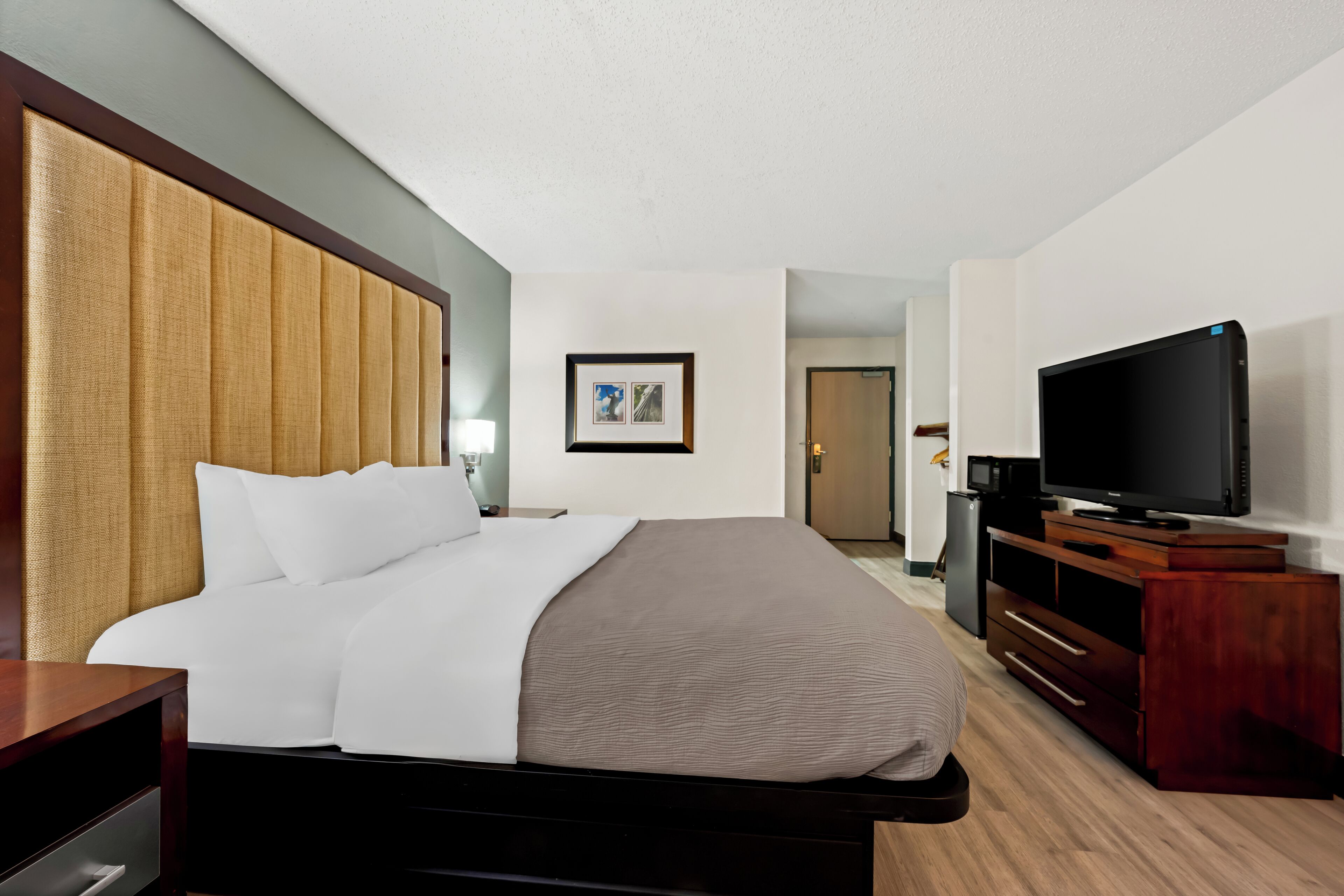 Habitación de hotel con cama, televisión, cabecera de madera, un cuadro enmarcado en la pared y una puerta al fondo.