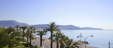 A coastal road with palm trees, a clear sky, and a view of the sea.