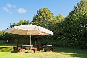 Un área de picnic con una sombrilla grande, bancos de madera y mesas.