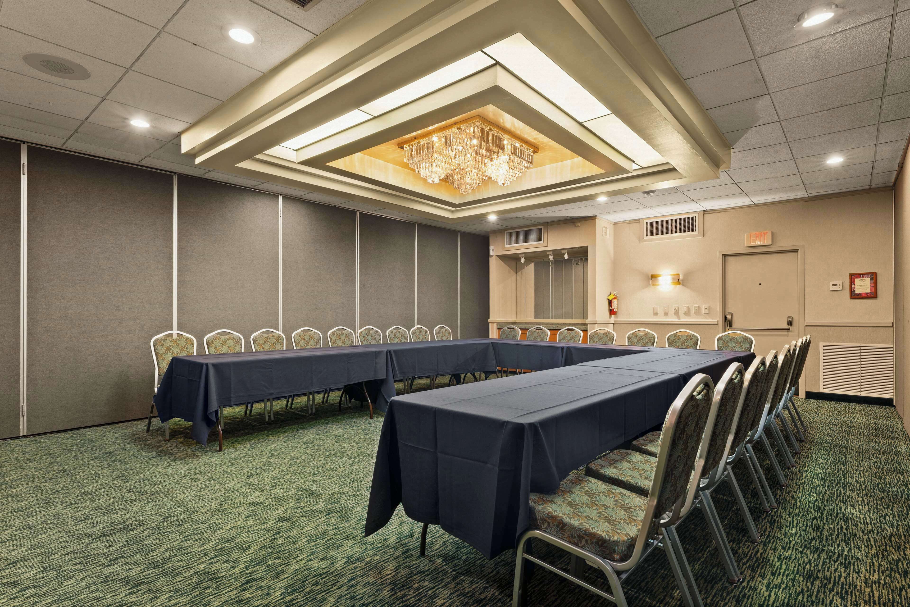 Un salón de conferencias con una larga mesa, sillas, una araña y suelo alfombrado.