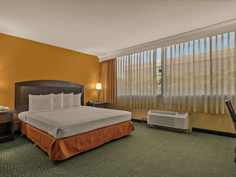 Premium bedding, desk, iron/ironing board, free cots/infant beds