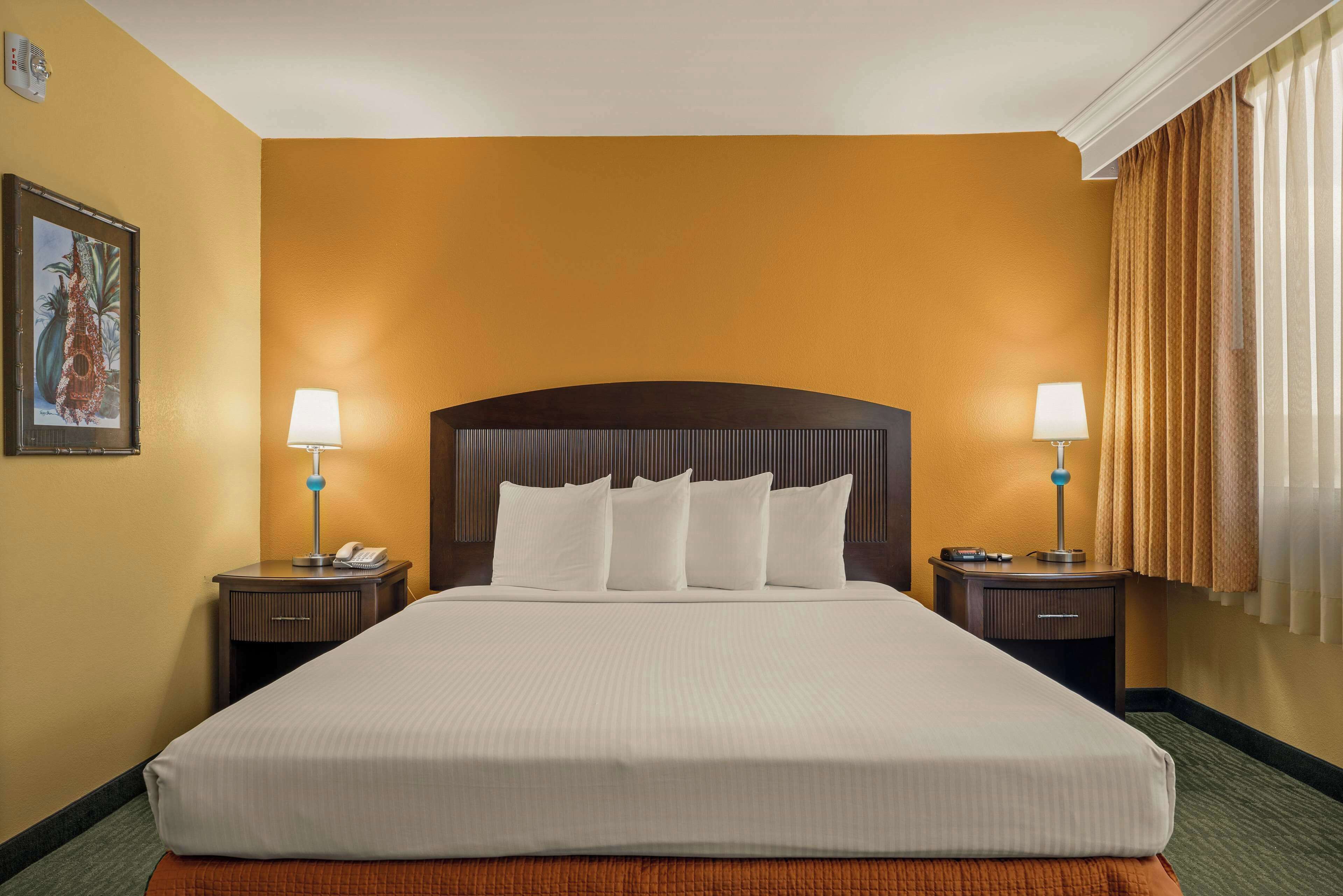 Une chambre d’hôtel avec un grand lit, deux tables de chevet avec des lampes et une seule œuvre d’art accrochée au mur.