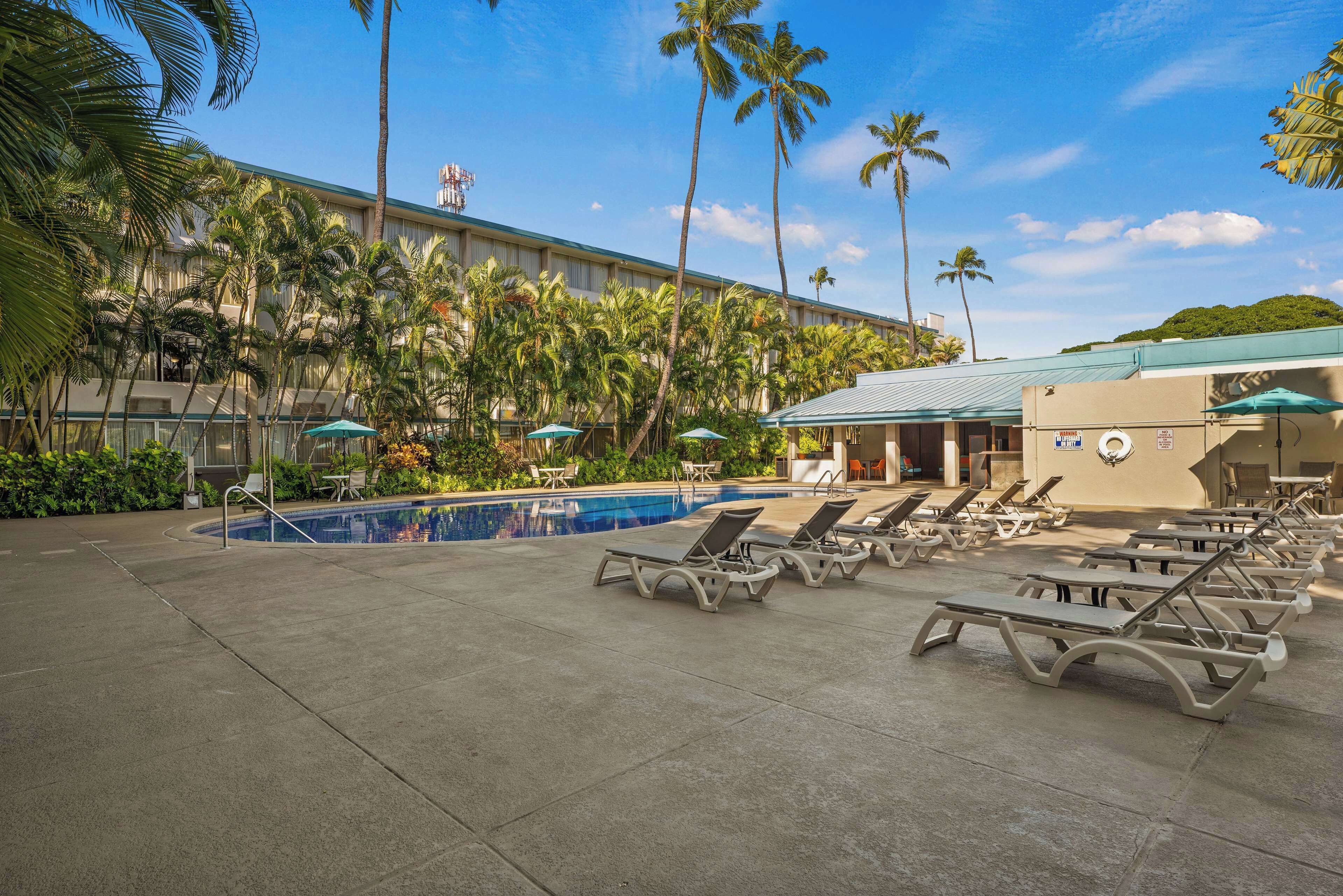 A hotel pool area with lounge chairs and umbrellas, surrounded by palm trees and a building with a green roof.