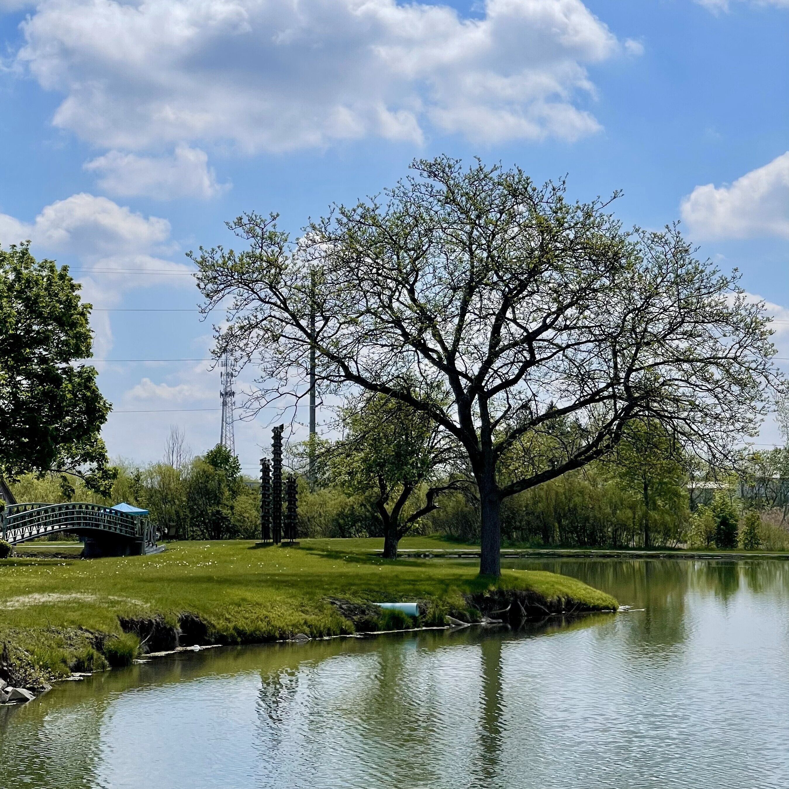 Ein Park mit einem großen Baum, einer Brücke und einem stillen See.