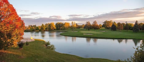 A serene golf course with a pond, surrounded by trees with autumn foliage.