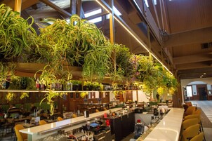 Se sirven desayunos, almuerzos y cenas; con vista al campo de golf