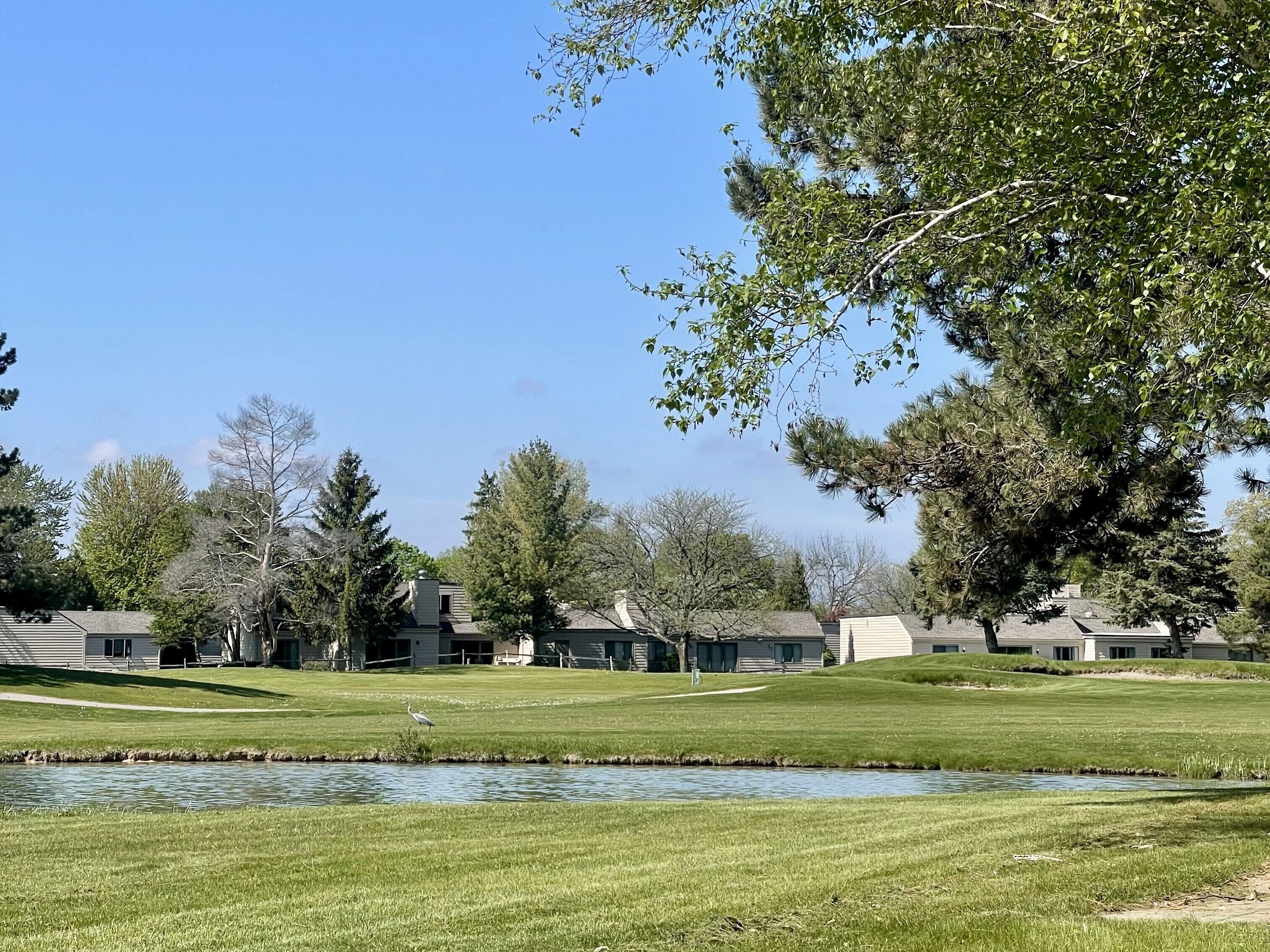 A residential area with houses, a pond, and trees.