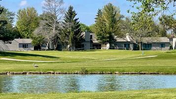 Servizio della struttura