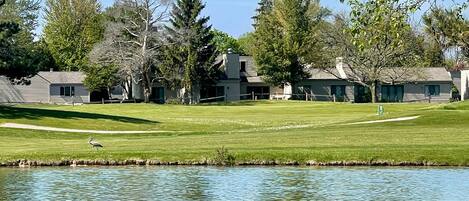 A golf course with a pond, trees, and houses in the background.