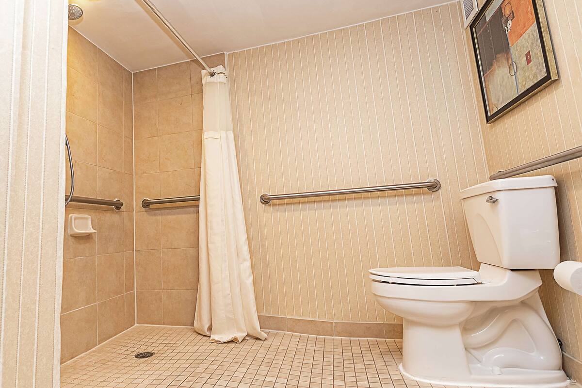 A bathroom with a shower, toilet, and handrails.