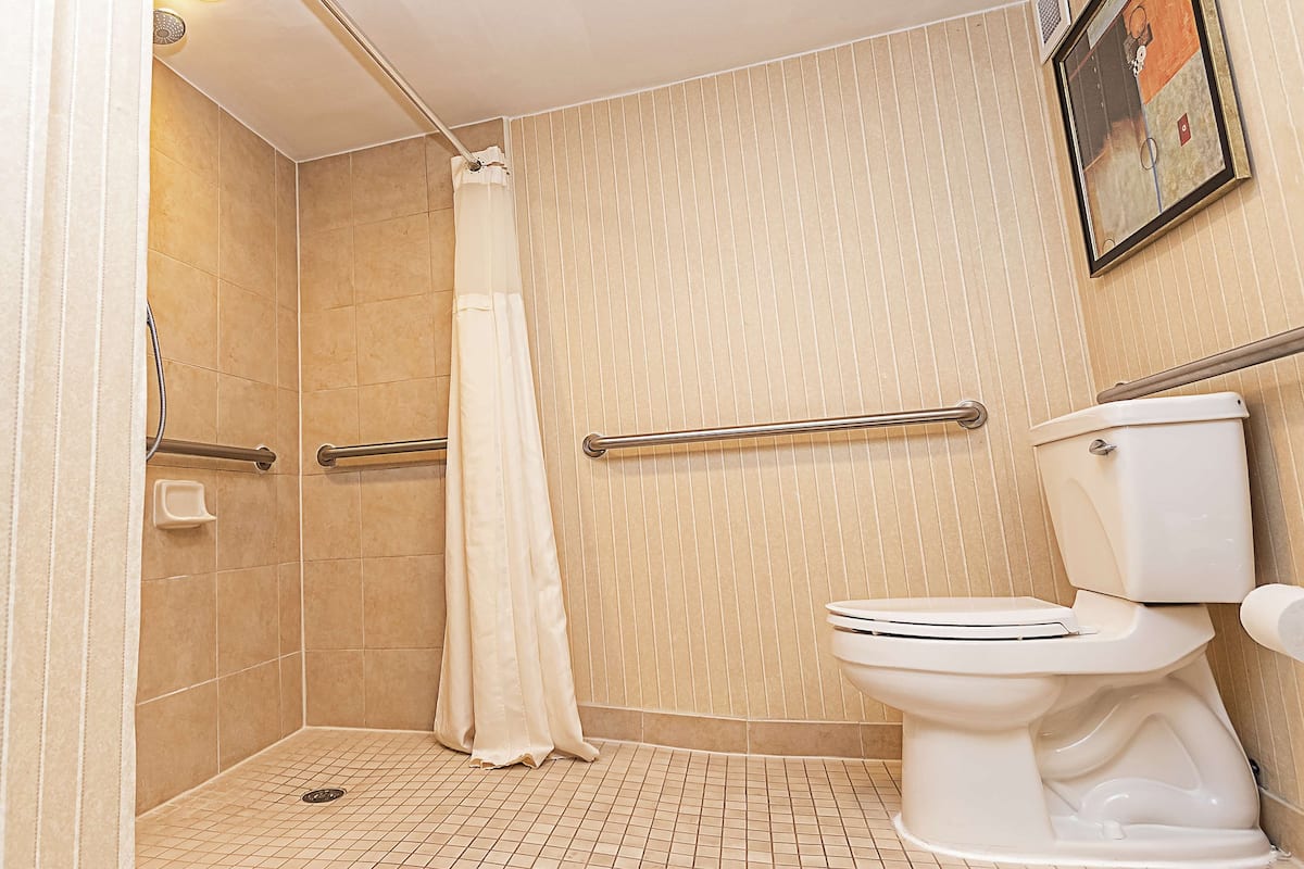 Ein Badezimmer mit Dusche, Toilette und Haltegriffen.