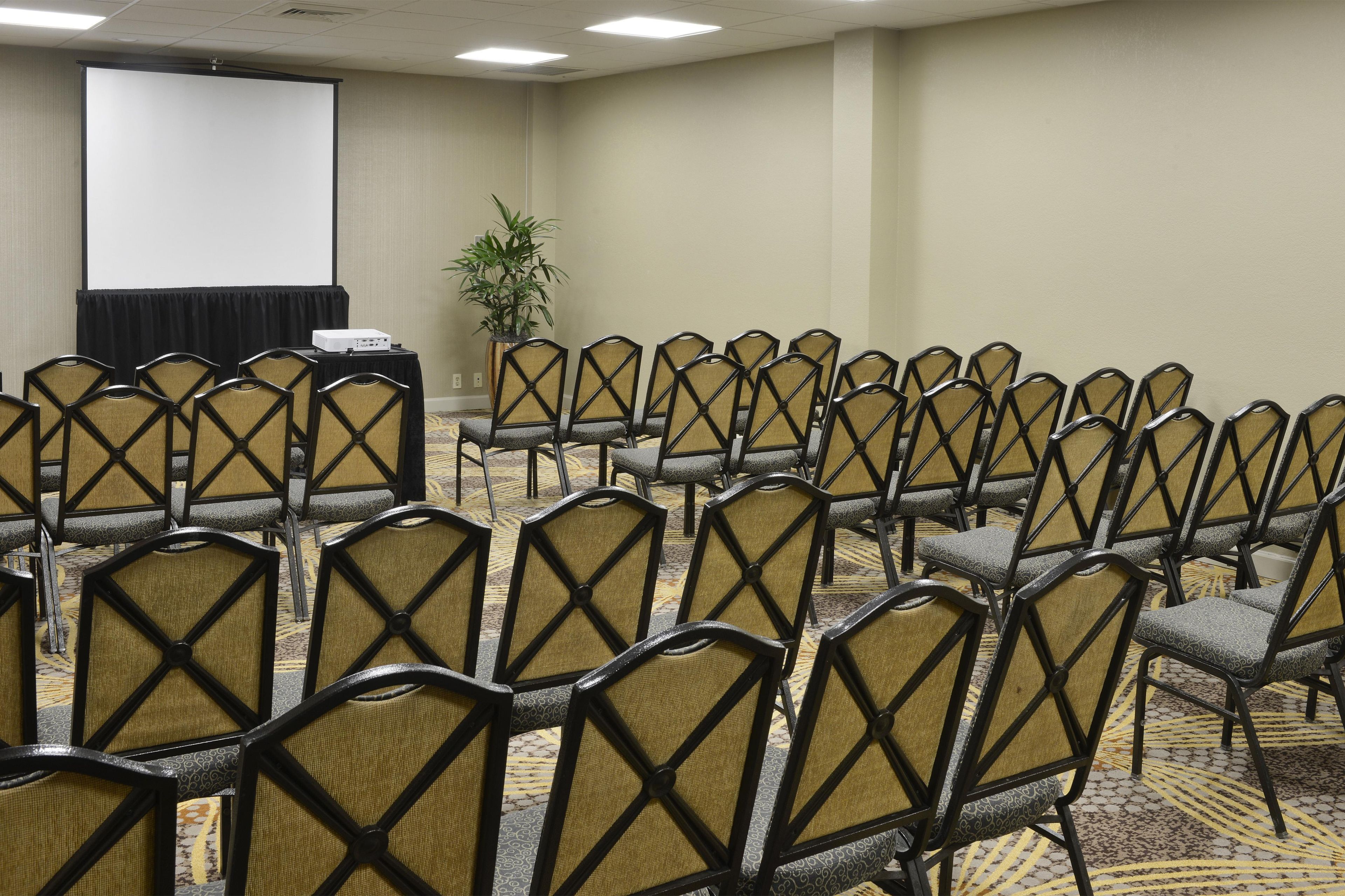 A conference room with rows of chairs, a projector screen, and a plant.