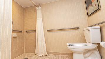 A small, enclosed shower area with a toilet and grab bars.