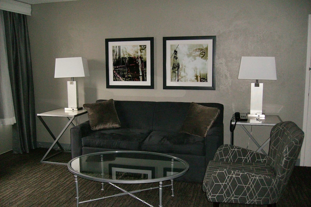 suite, 1 king bed with sofa bed, non smoking, refrigerator & microwave (with sofabed) | 1 bedroom, in-room safe, desk, laptop workspace