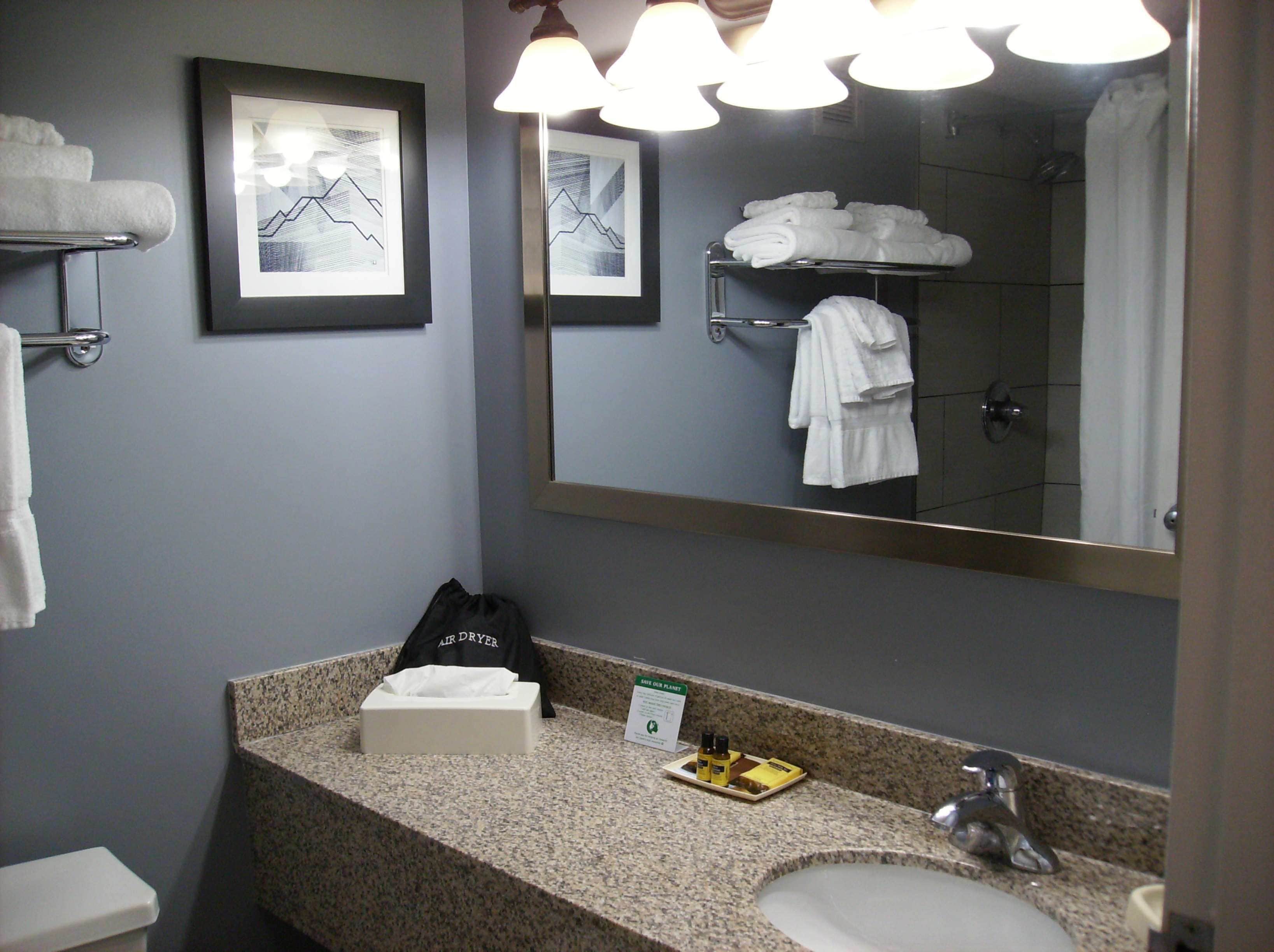 combined shower/bathtub, eco-friendly toiletries, hair dryer, towels