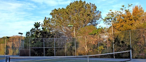 A tennis court with a net, surrounded by a chain-link fence and trees.