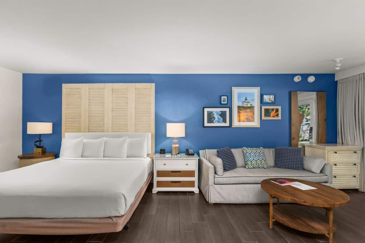 Room, 1 King Bed (Accessible Shower-Tub) | 1 bedroom, hypo-allergenic bedding, in-room safe, individually furnished