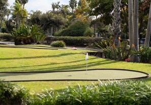 A well-maintained golf course with a putting green, surrounded by lush greenery and palm trees.