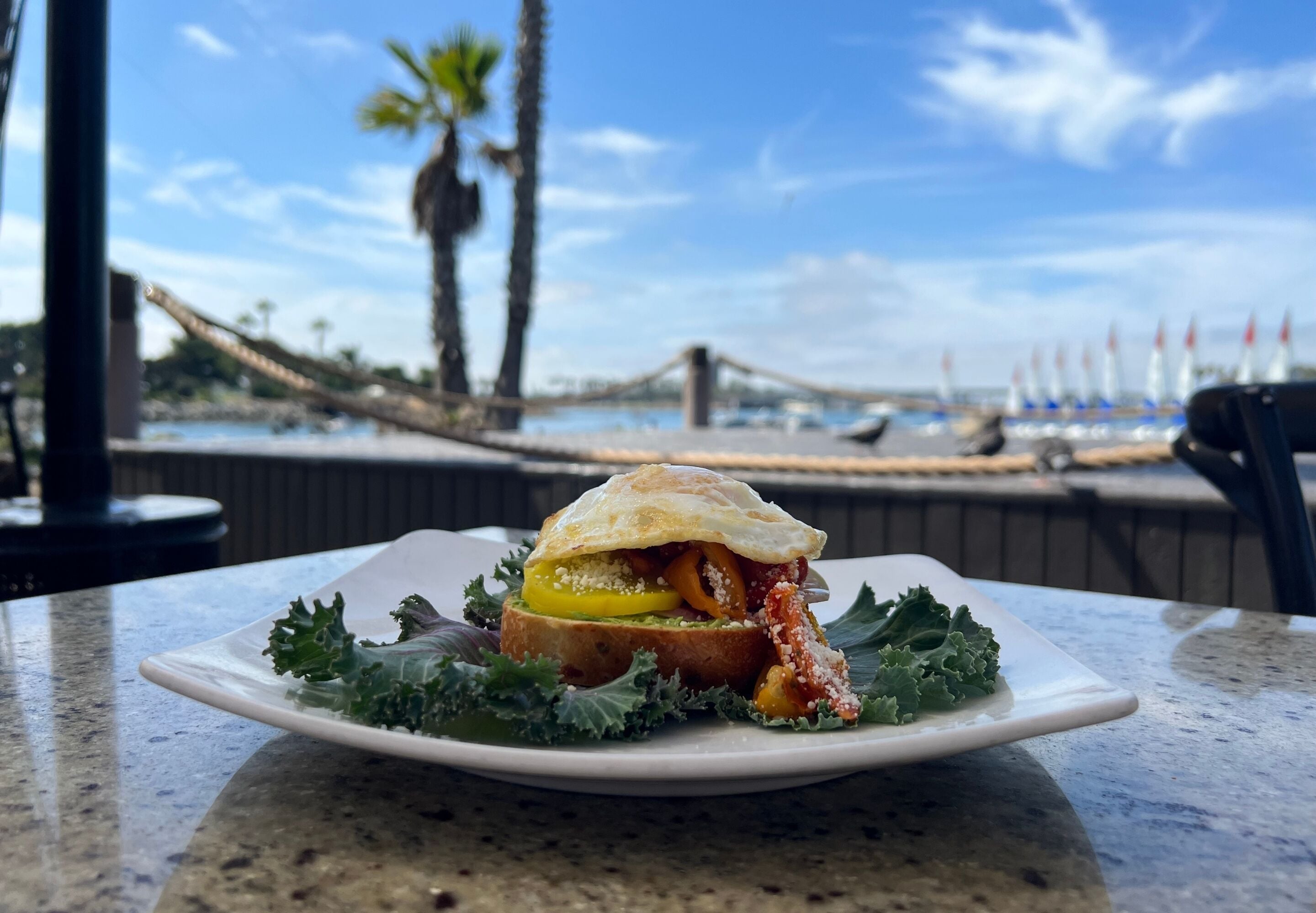 Un sándwich sobre un plato blanco, con vista a una playa y palmeras al fondo.