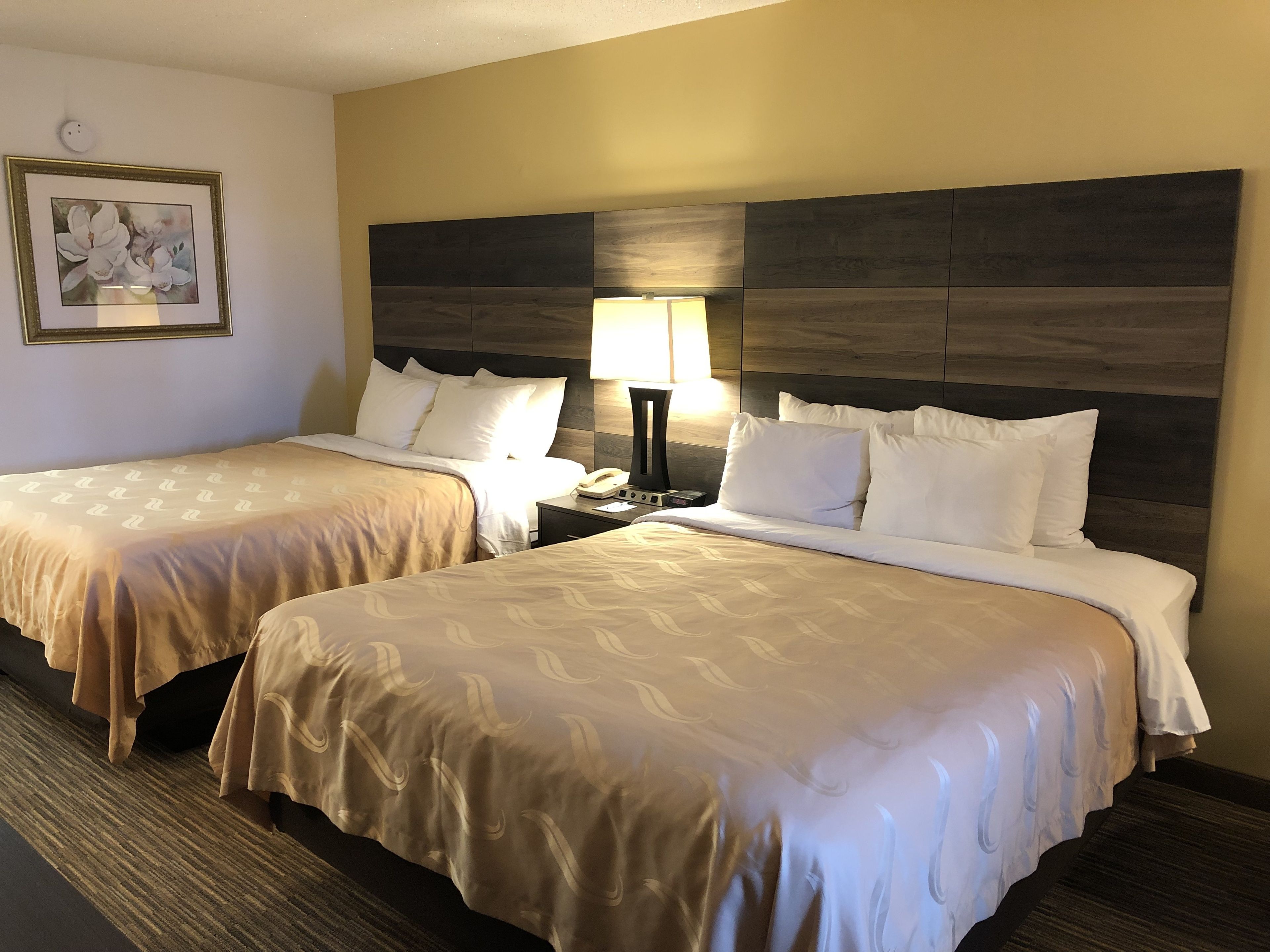 A hotel room with two beds, a nightstand with a lamp, a framed picture on the wall, and a carpeted floor.