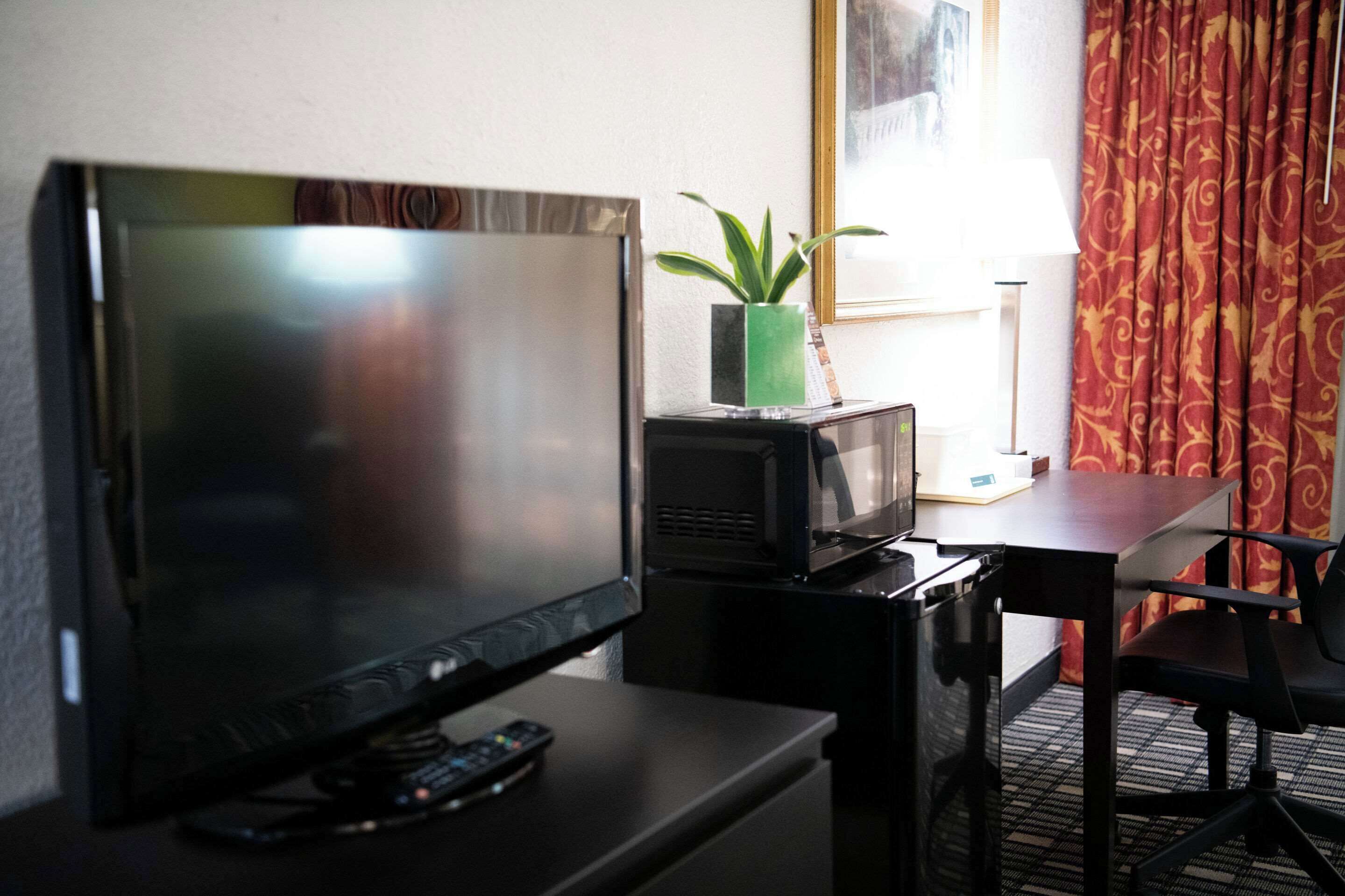 A hotel room with a TV, a microwave, a small table, a chair, a plant, and a window with curtains.
