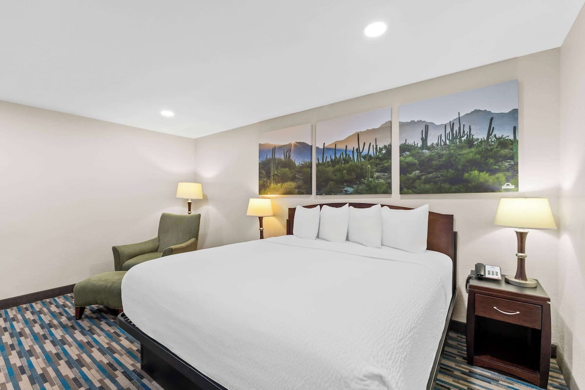 Deluxe Studio Suite, 1 King Bed, Non Smoking | Pillowtop beds, in-room safe, desk, iron/ironing board