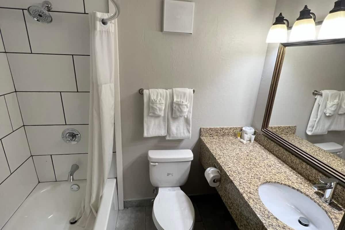 Combined shower/tub, free toiletries, hair dryer, towels
