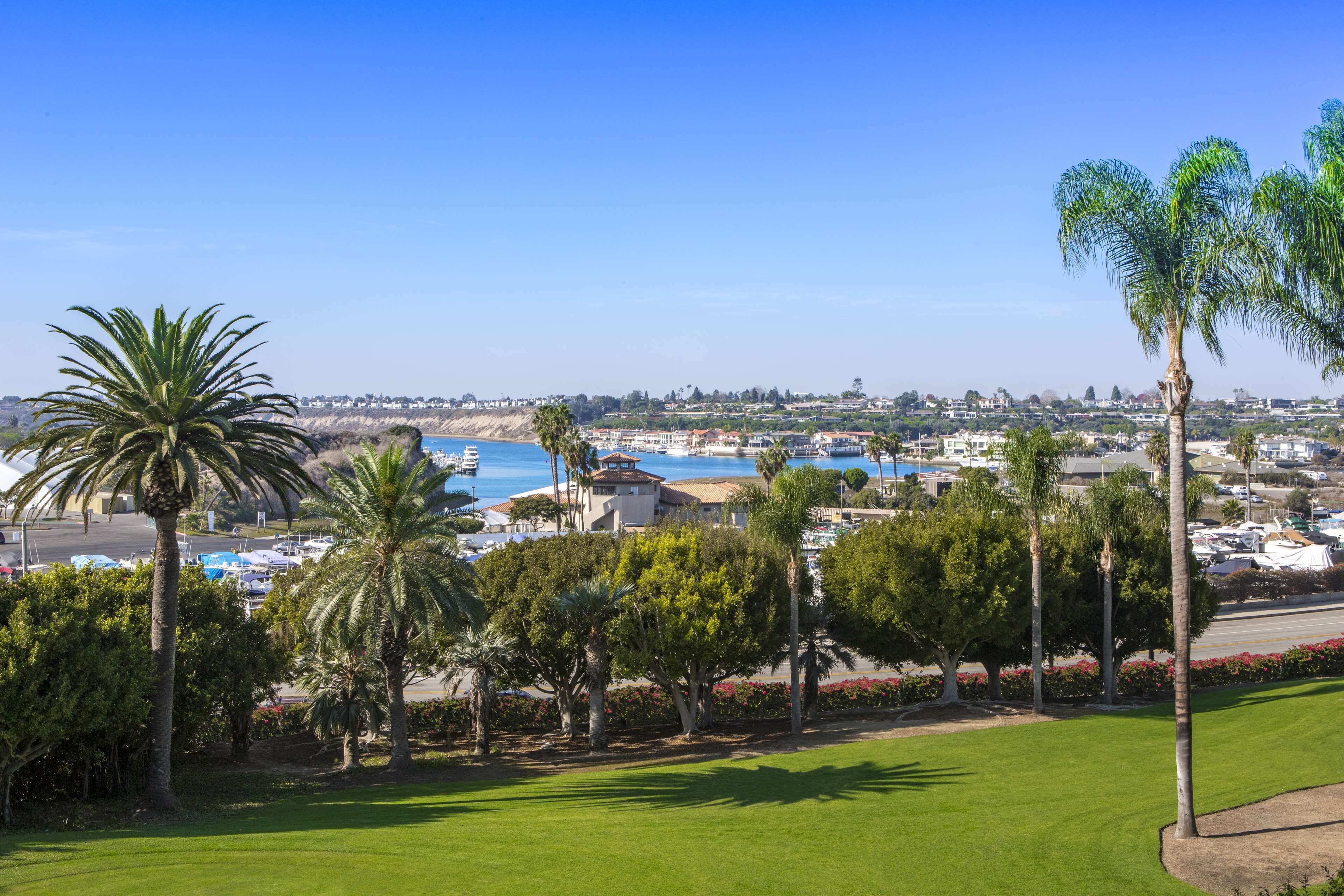 Ein Küstenblick mit einer Marina, Palmen und blauem, wolkenlosem Himmel.