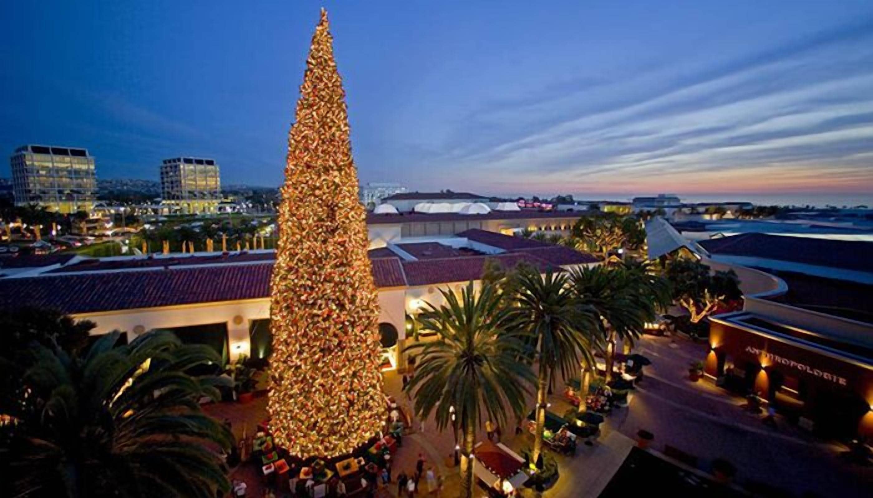 A large, illuminated Christmas tree in an urban setting with modern buildings and palm trees.