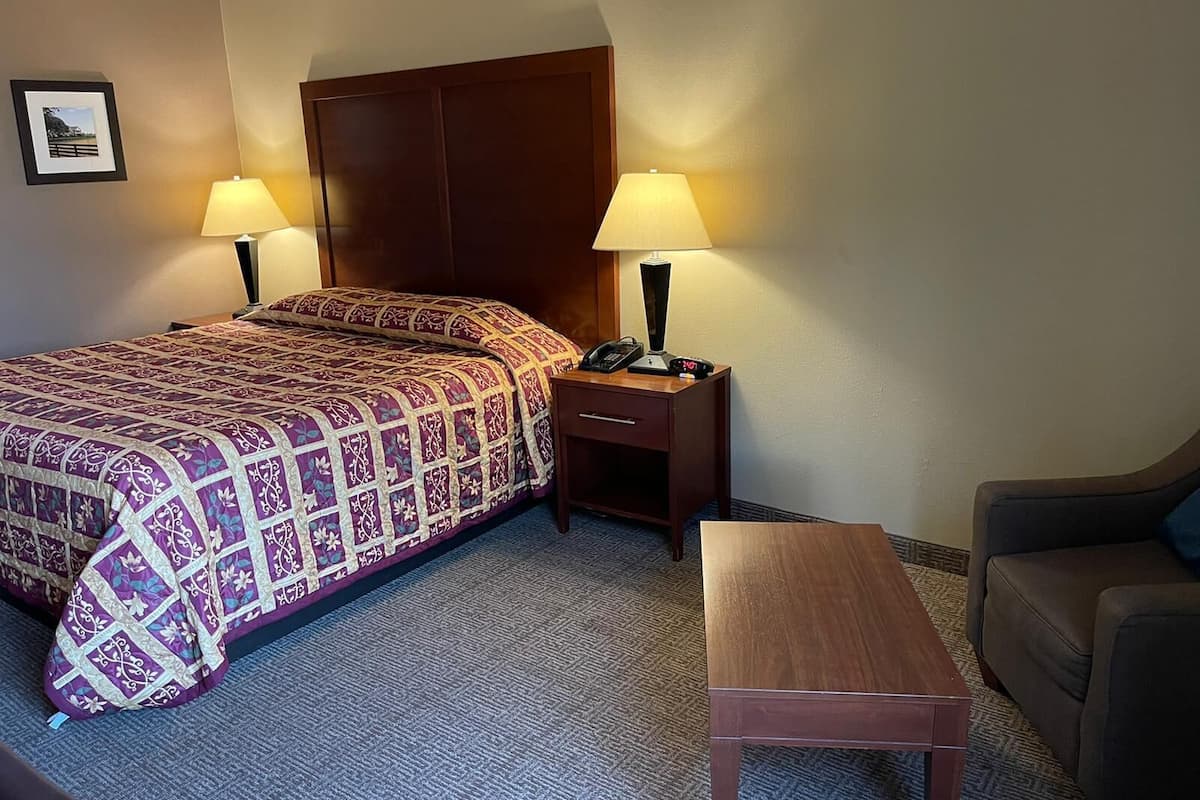 Basic Room, 1 King Bed