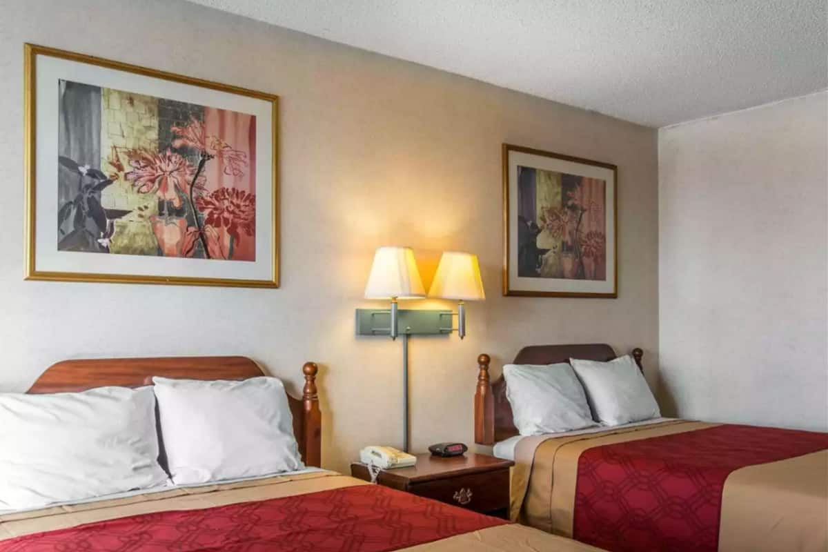 A hotel room with two beds, a nightstand with a lamp, and two framed floral paintings on the wall.