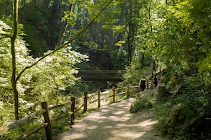 Un sentiero boschivo con una recinzione in legno, un ponte e un tracciato sterrato.