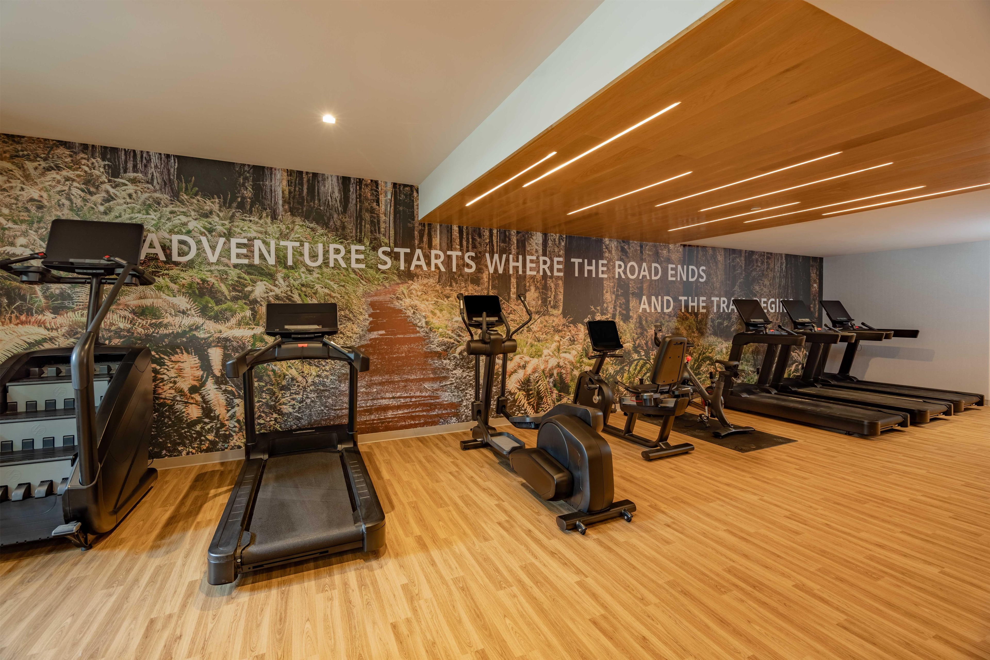 A gym with treadmills, stationary bikes, and elliptical machines.