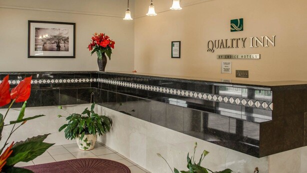A reception area with a reception desk, a ceiling fan, hanging pendant lights, a framed picture, and a logo for Quality Inn by Choice Hotels. - Quality Inn near Manatee Springs State Park (Chiefland)