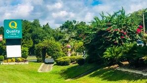 A Quality Inn sign with a green background and white lettering, surrounded by lush greenery and a clear sky. - Quality Inn near Manatee Springs State Park (Chiefland)