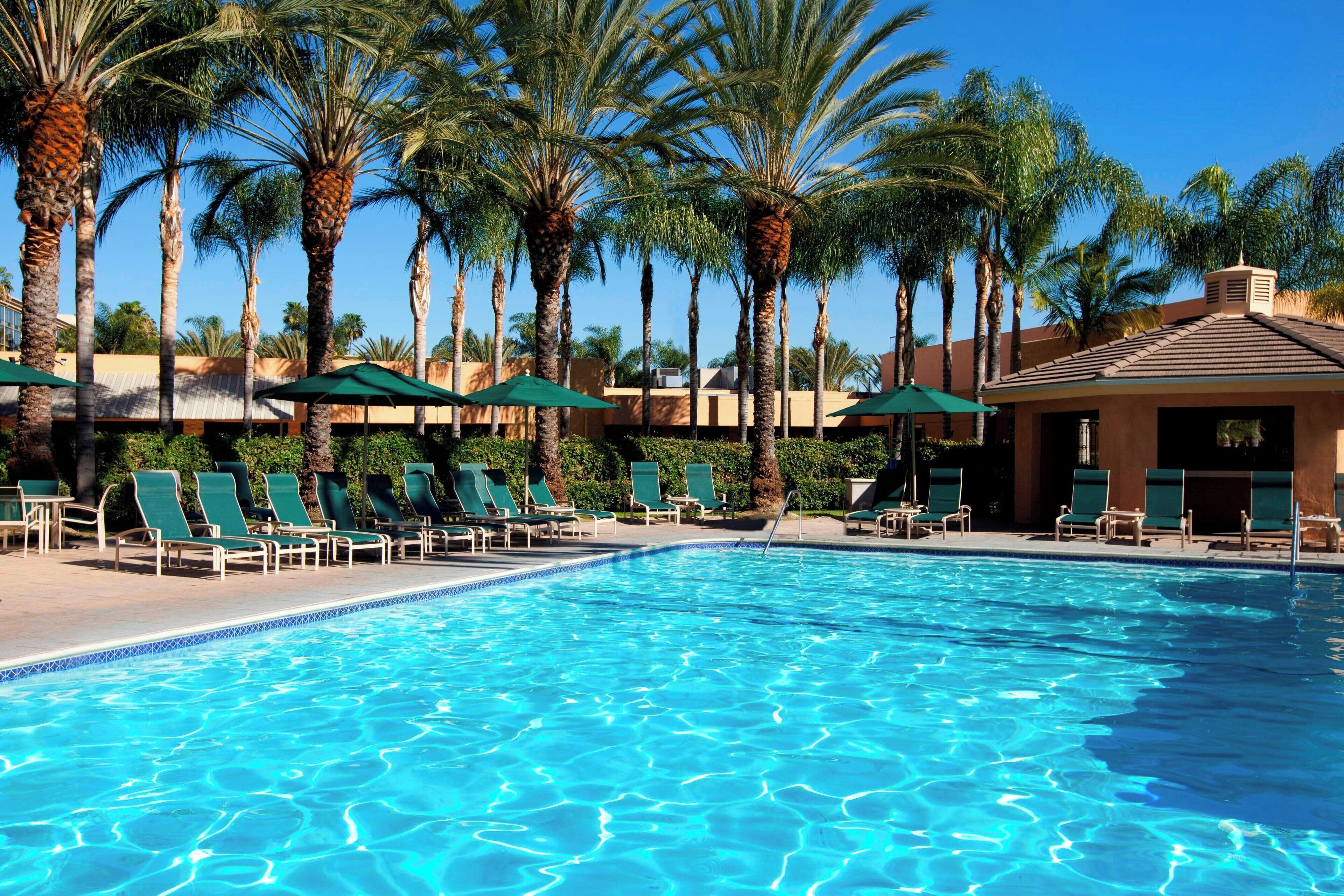 Outdoor pool, pool umbrellas, pool loungers