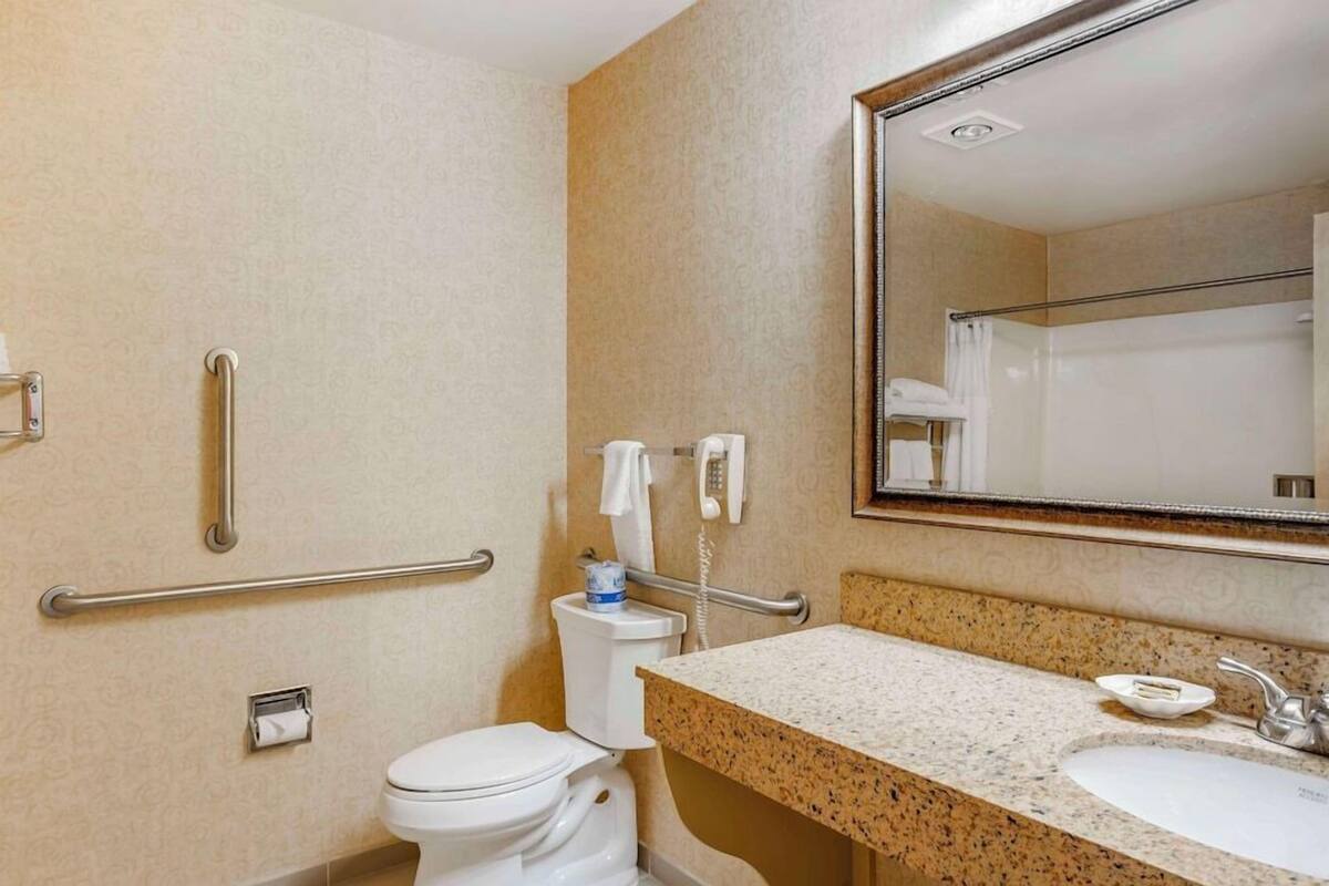 A bathroom with a toilet, sink, and mirror.