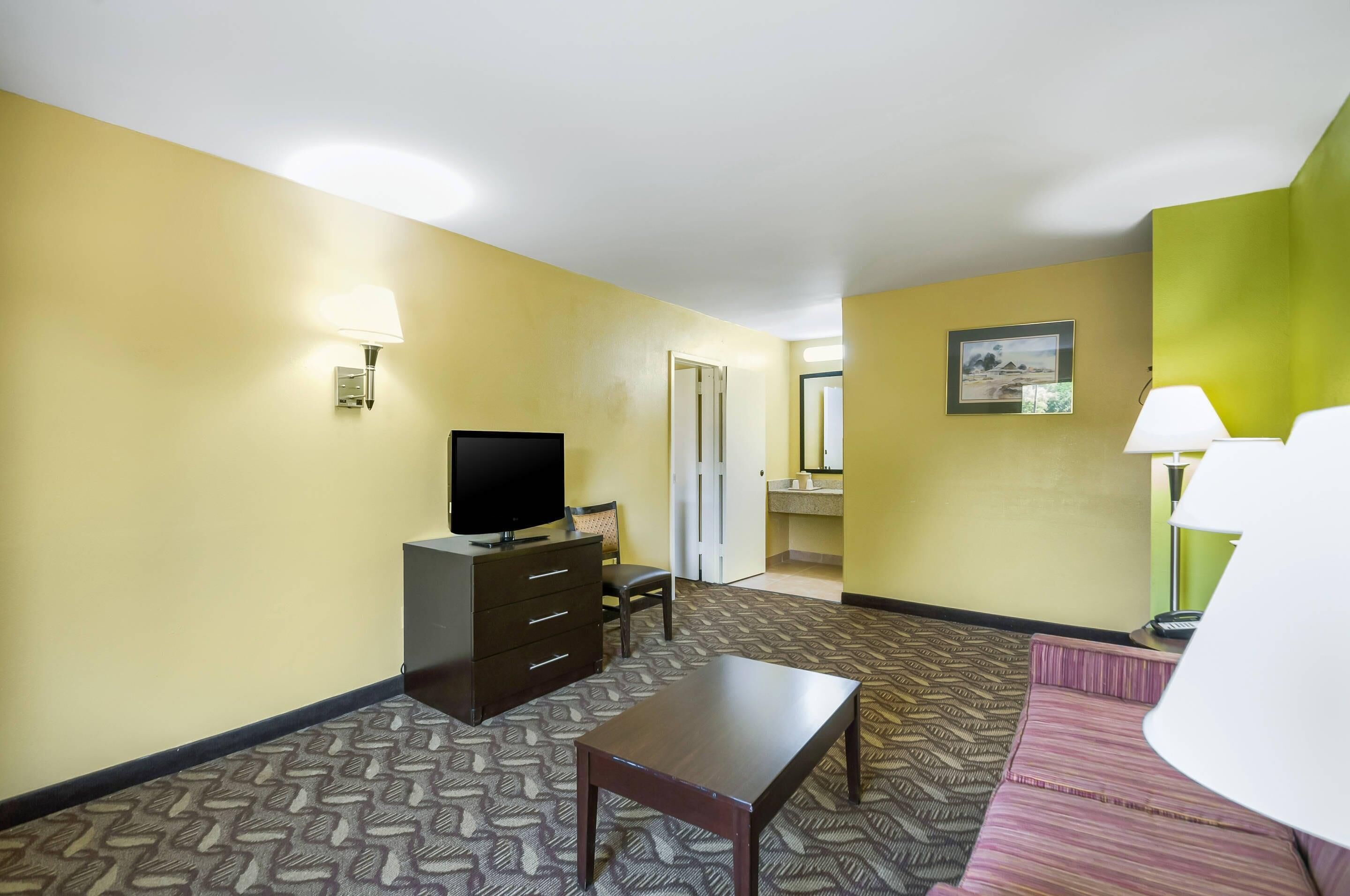 Habitación de hotel con televisión, escritorio, silla, alfombra estampada, sofá, lámpara y un cuadro en la pared.