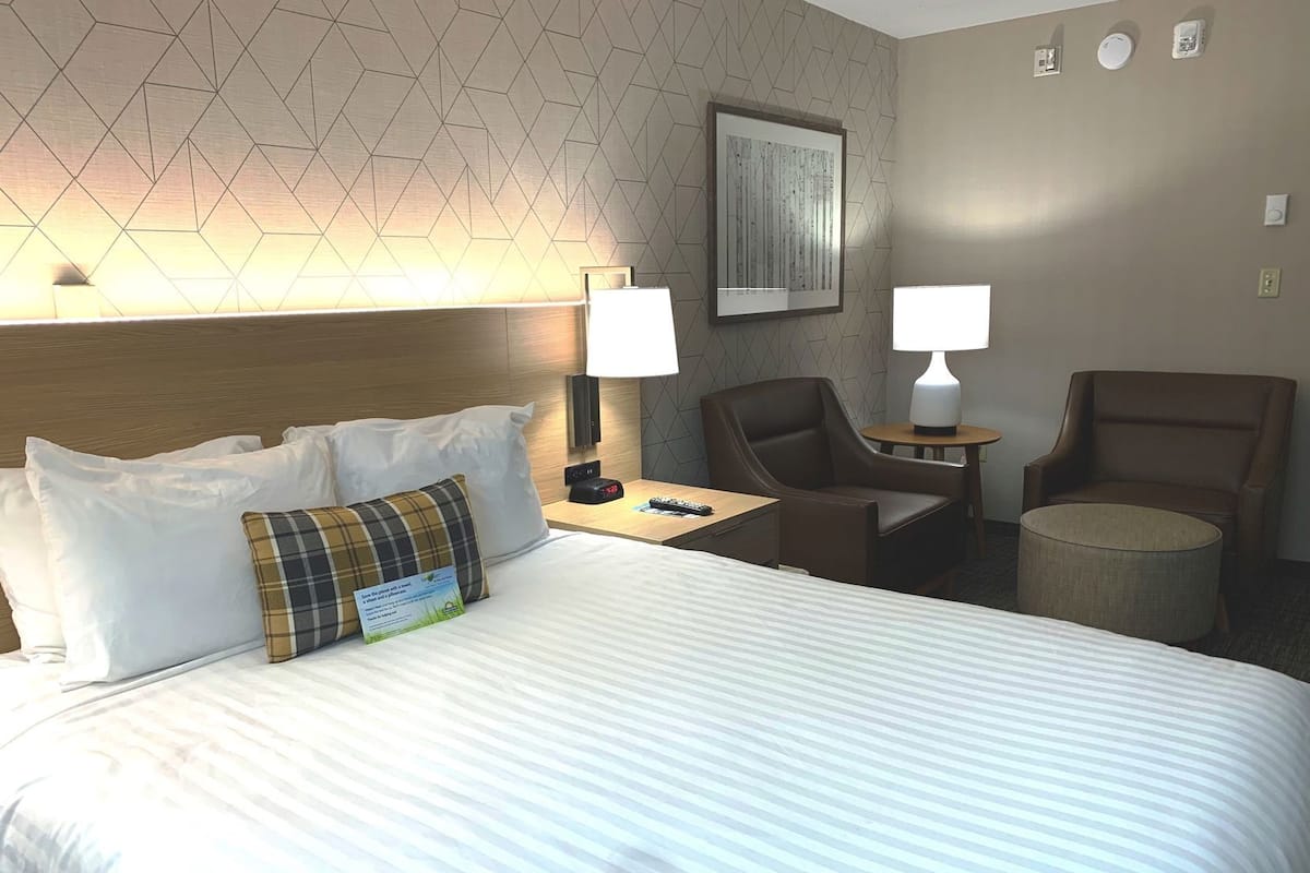A hotel room with a bed, two chairs, a small table, a lamp, and a wall-mounted picture.