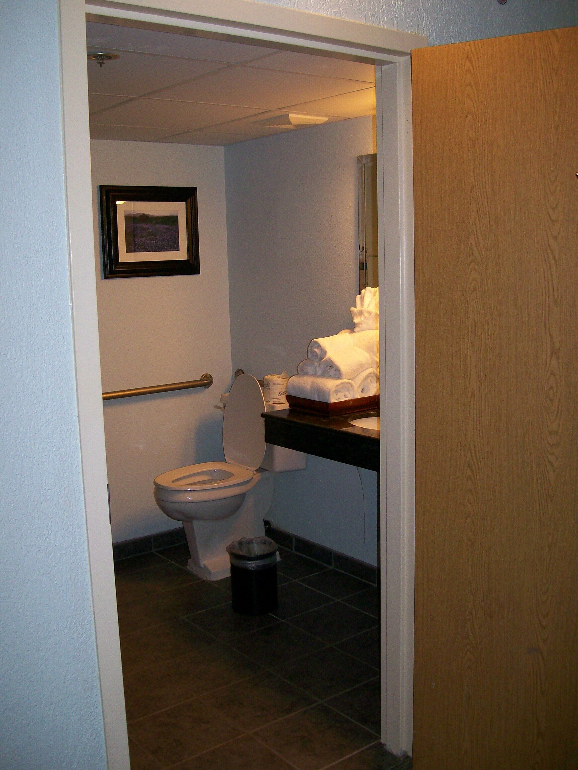 Une petite salle de bain comprenant des toilettes, une barre d’appui, une poubelle et un tableau encadré au mur.